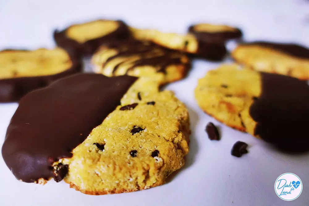 Zuckerfreie Kokos-Schokoladen Kekse 