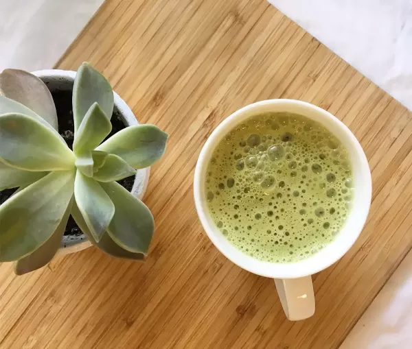 Matcha Drink