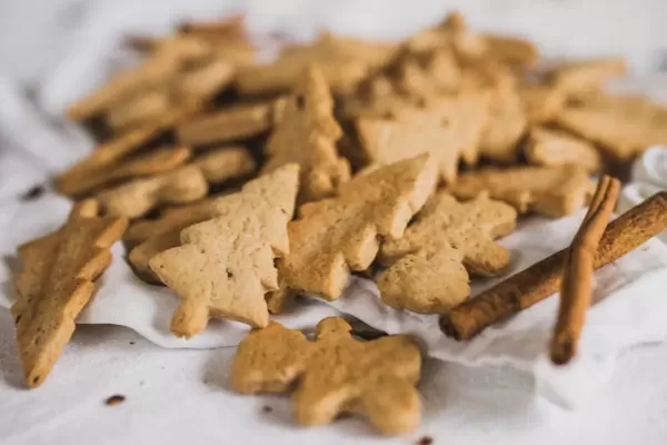 Sündenfreie Lebkuchen